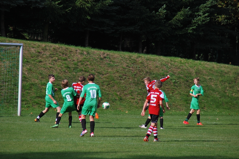 780x5205.ST Grimme-BSG 4.10 (15).JPG